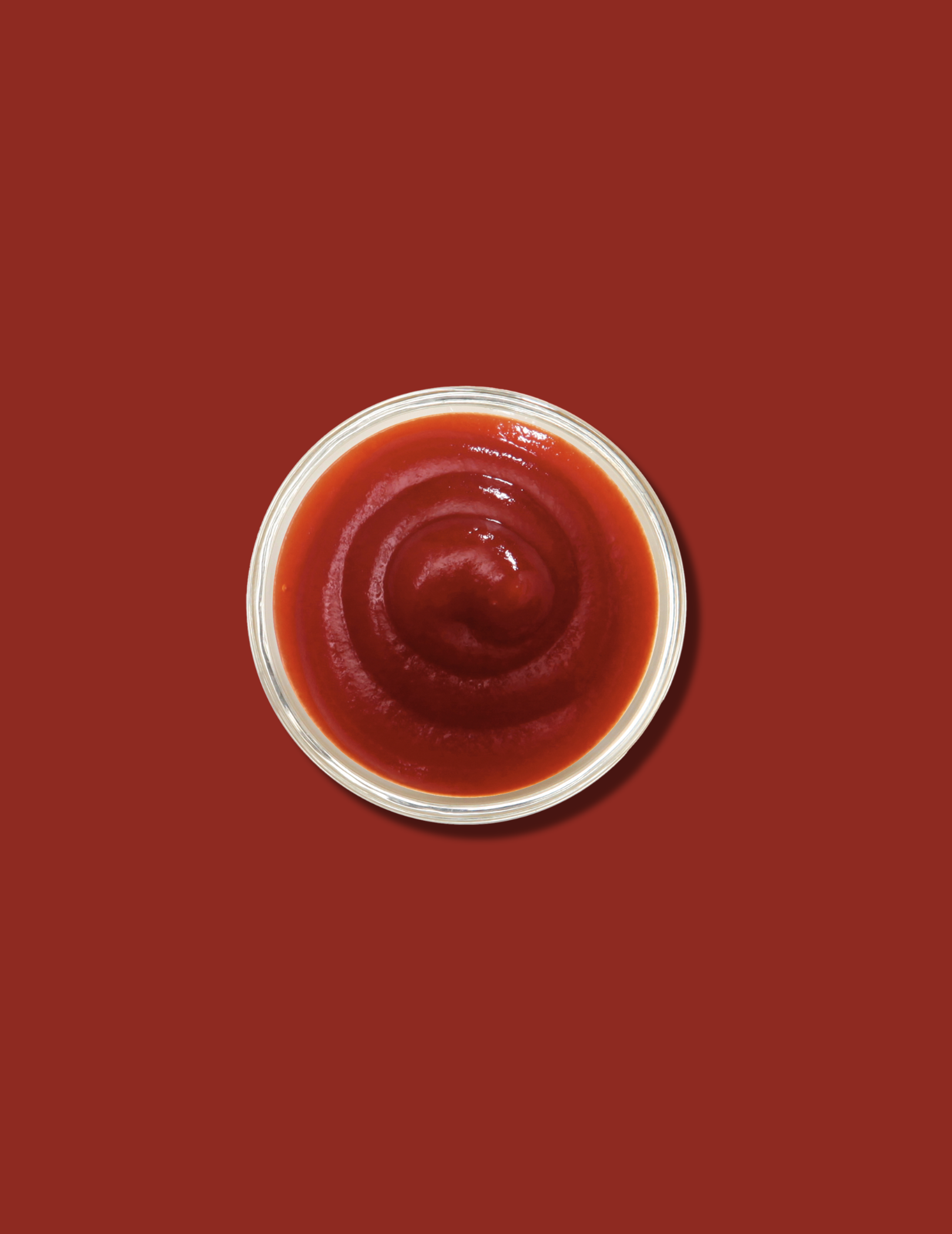 SAUCE TOMATE-KETCHUP 500ML